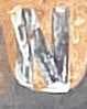 Sample of N capital letter
