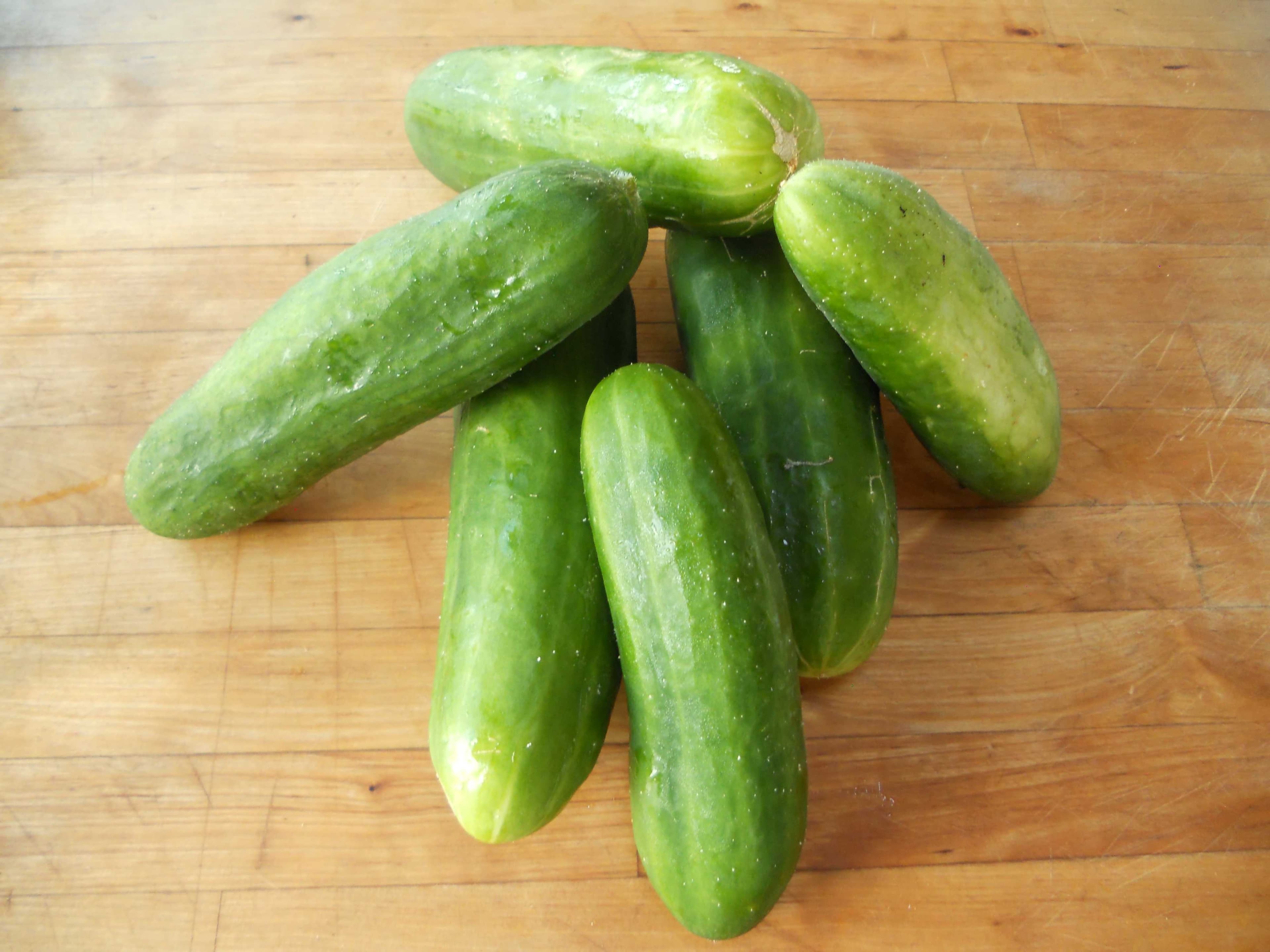 Sample of Cucumber