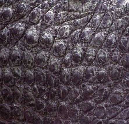 Sample of Bumpy
