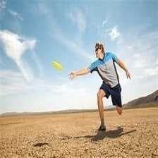 Sample of Frisbee