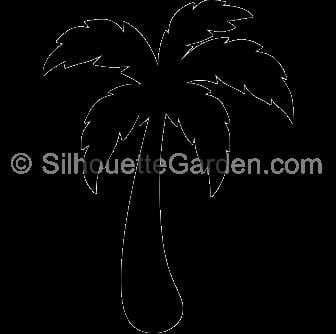 Sample of Palm tree