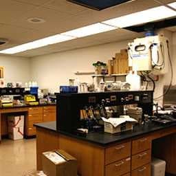Sample of Laboratorywet
