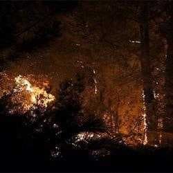 Wildfire image dataset preview