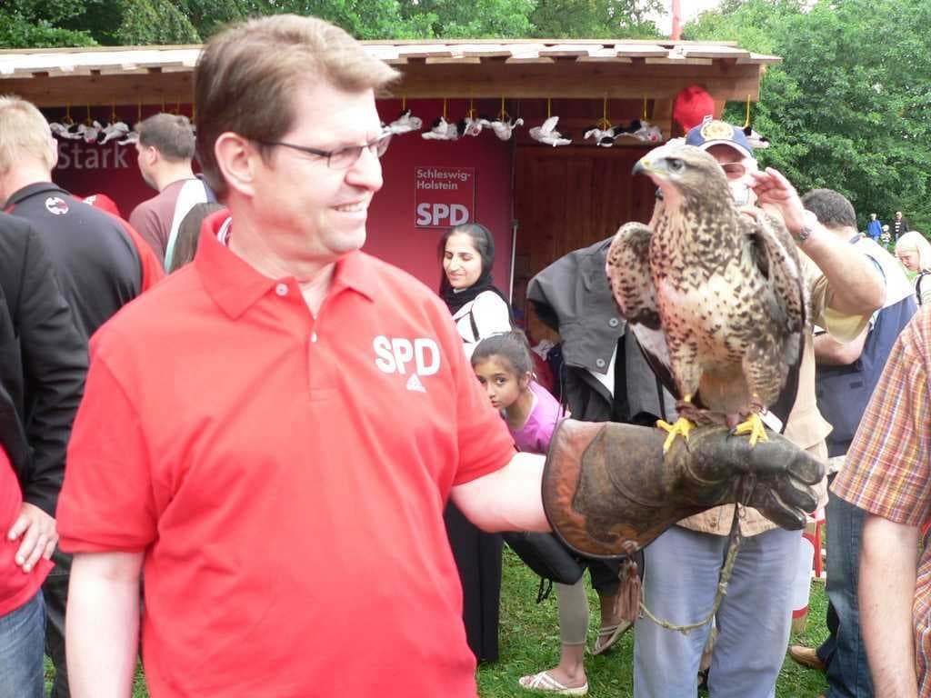Sample of Eagle