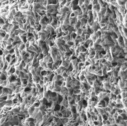 Sample of Porous