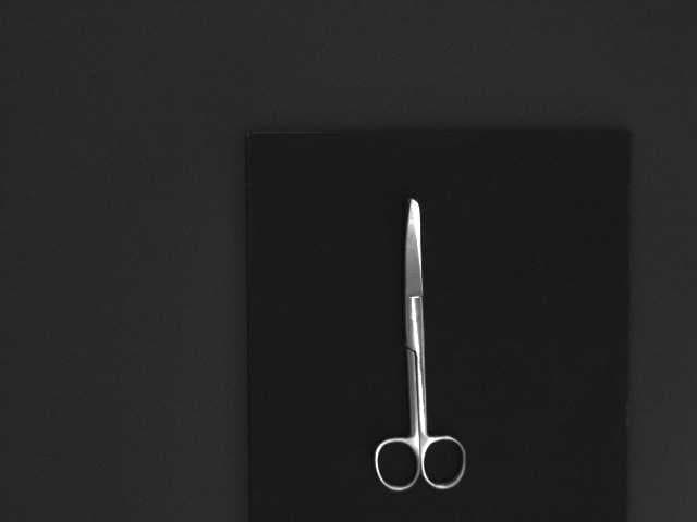 Sample of Curved scissor