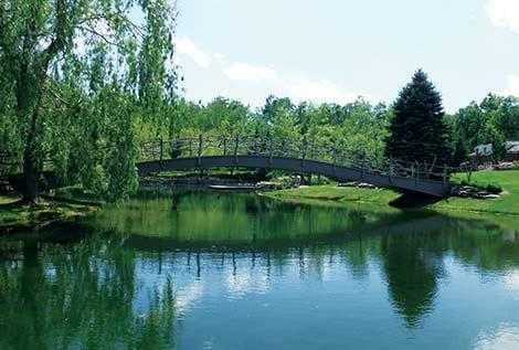 Sample of Pond