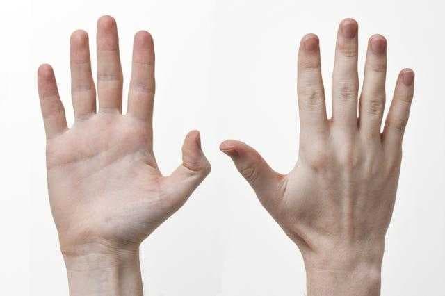 Sample of Hand