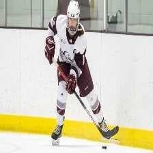 Sample of Hockey