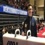 Sample 6 – Pommel horse