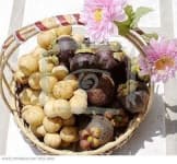 Sample 5 – Hamper