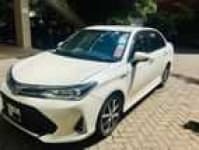 Sample 8 – Axio car