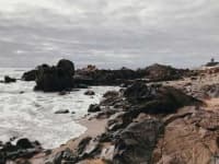 Sample 2 – Rocky shore
