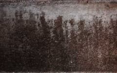 Sample 6 – Blotchy