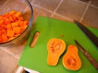 Sample 1 – Butternut squash