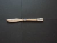 Sample 2 – Dinner knife