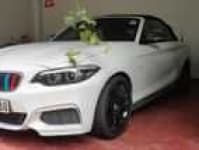 Sample of 218i car