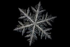 Sample of Snowflake
