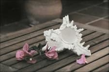 Sample 5 – Conch