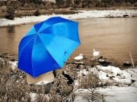 Sample of Umbrella