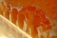 Sample 3 – Honeycomb