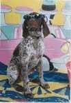 Sample 1 – German short haired pointer