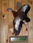 Sample 4 – Goose