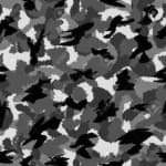 Sample 3 – Camouflage