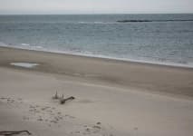 Sample 5 – Sandbar
