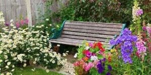 Sample 3 – Garden