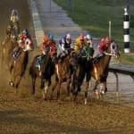 Sample 3 – Horse racing