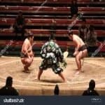 Sample 5 – Sumo wrestling