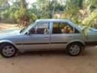 Sample 5 – Carina car