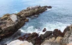 Sample 6 – Rocky shore