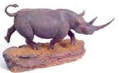 Sample 4 – Rhino