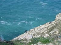 Sample 6 – Cliff