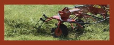 Tedder image dataset preview
