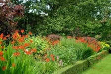 Sample 4 – Garden