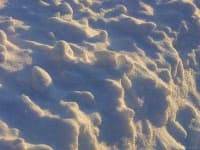 Sample 4 – Bumpy
