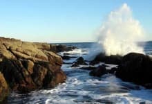 Sample 4 – Rocky shore