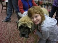 Sample 4 – Bull mastiff