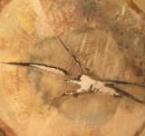Sample 4 – Cracked