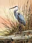 Sample 6 – Heron