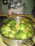 Sample 4 – Artichoke
