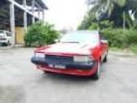 Sample 2 – Carina car