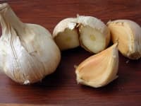 Sample 1 – Garlic