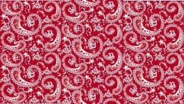 Sample 6 – Paisley