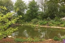 Sample 2 – Pond