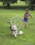 Sample of People play with dog