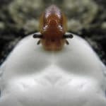 Sample 1 – Slug